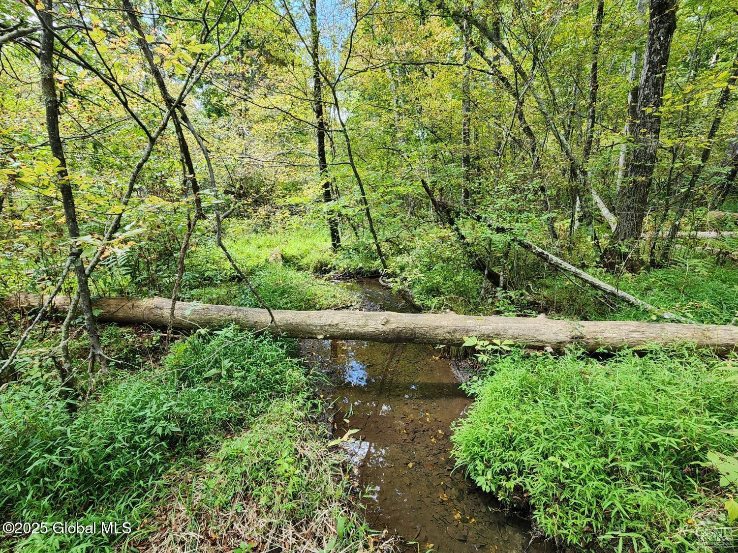 L27.5 Birch Hill Road, Copake, New York image 12