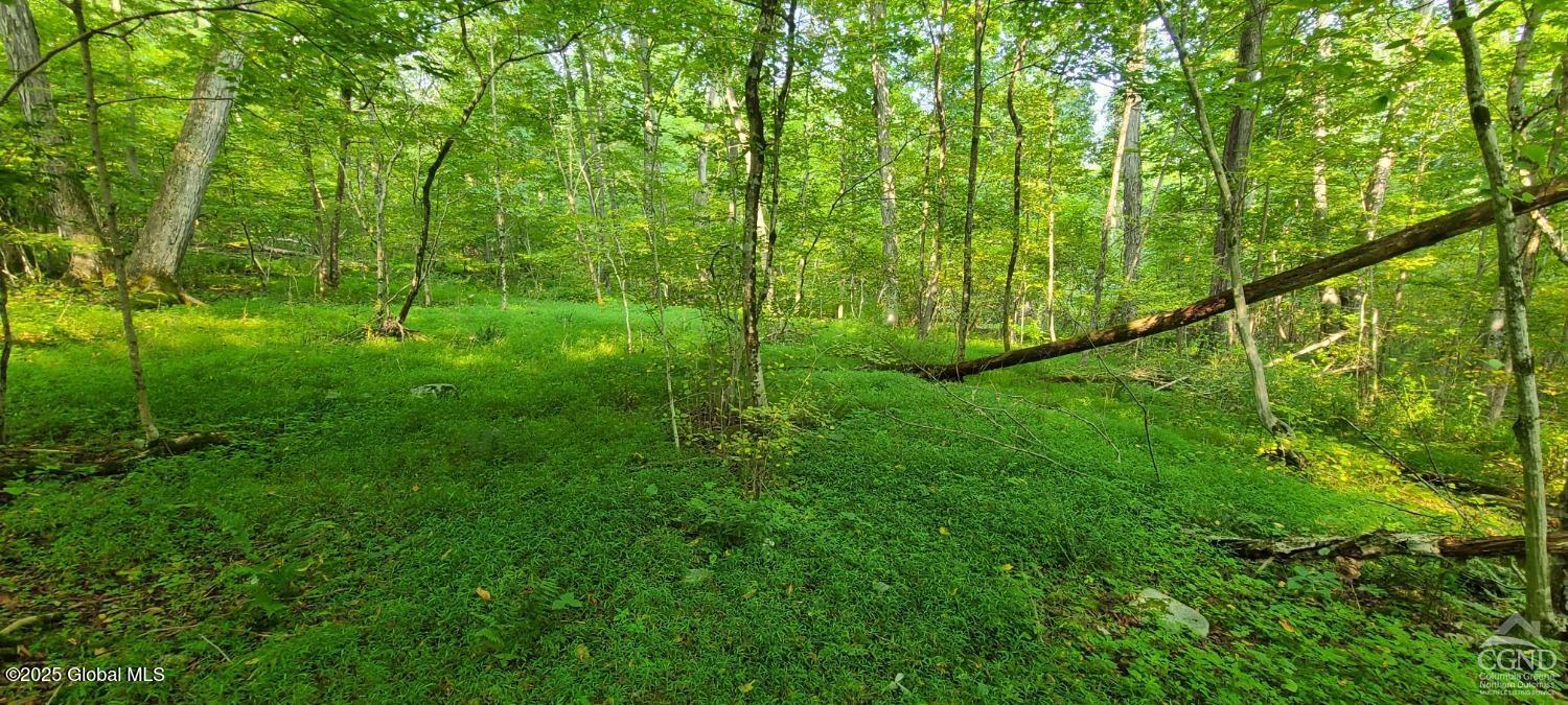 L27.5 Birch Hill Road, Copake, New York image 5