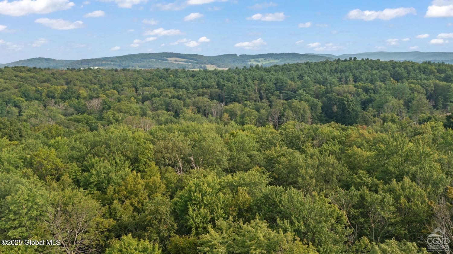 L27.5 Birch Hill Road, Copake, New York image 21
