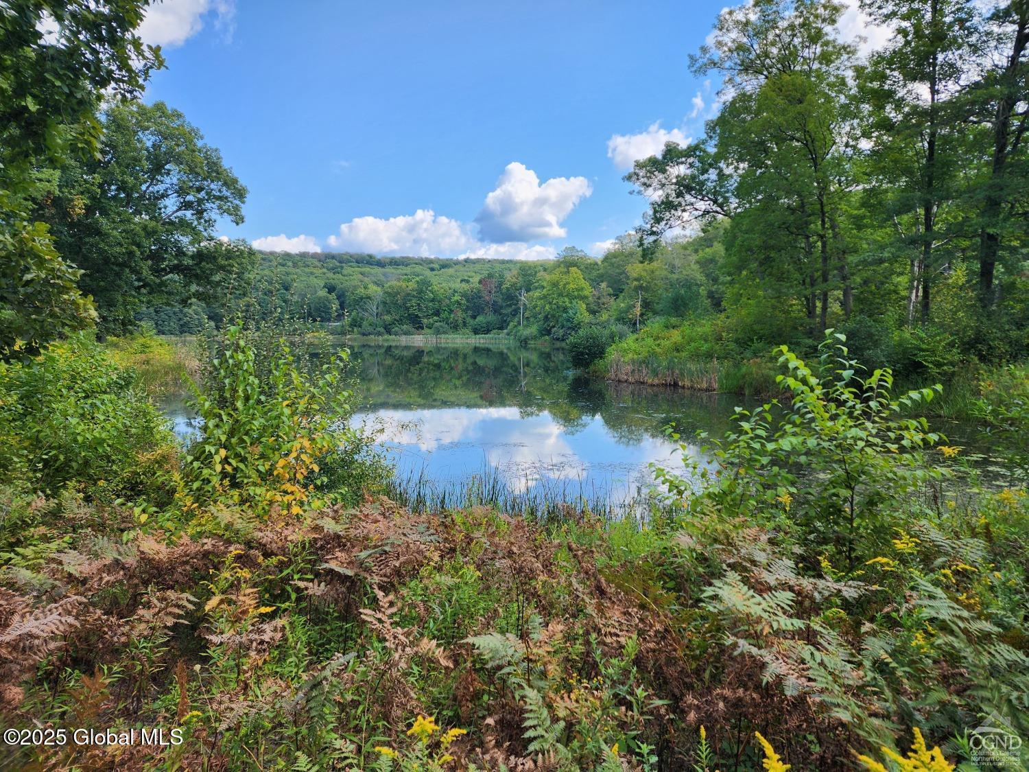 L27.5 Birch Hill Road, Copake, New York image 15