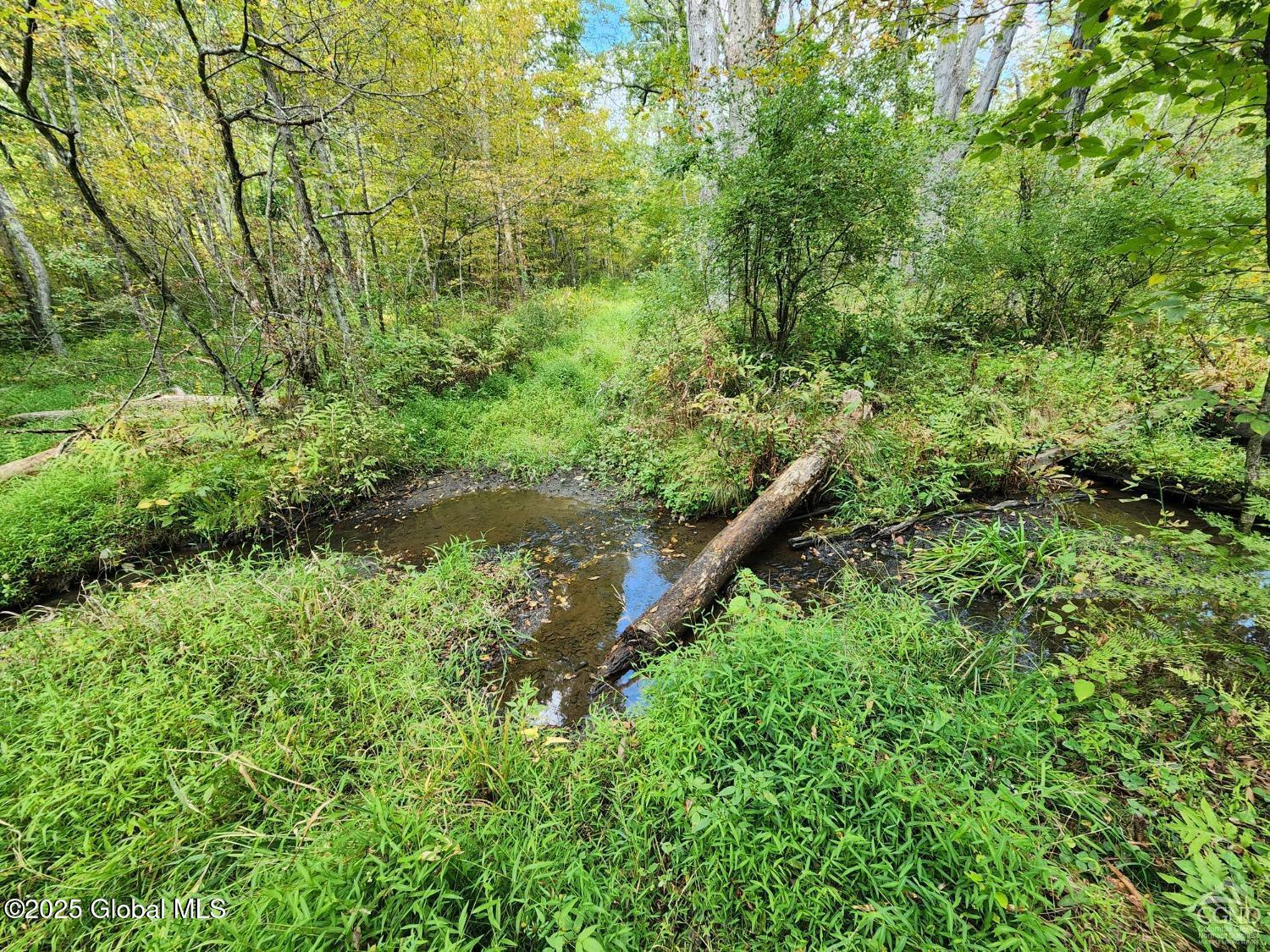 L27.5 Birch Hill Road, Copake, New York image 9
