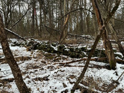 Vacant Land For Sale - 2000 Sleepy Hollow Road<br/> Greene County, Athens, NY 12015