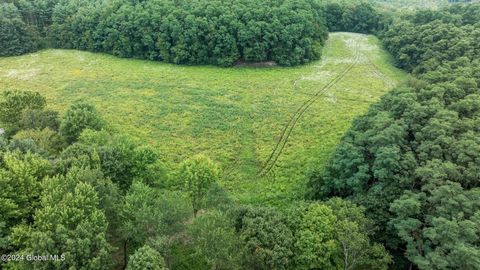 Photo of 6348 Gun Club Road, Altamont, NY 12009 (MLS # 202516999)