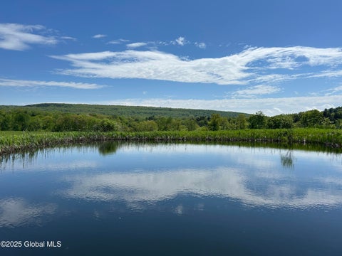 Photo for Lot 3 Gifford Hollow Road