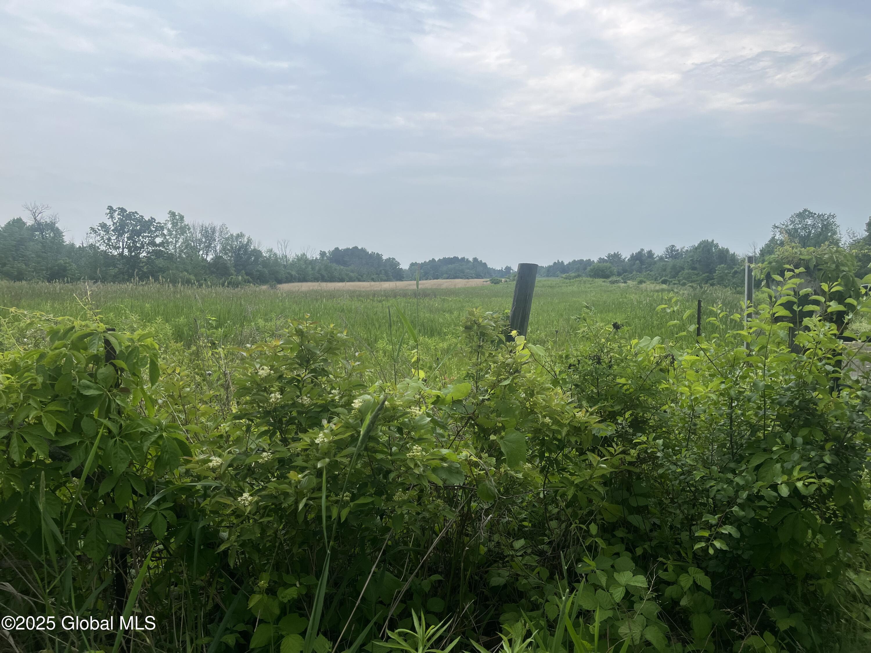 000 School House Rd Road, Stuyvesant, New York image 3