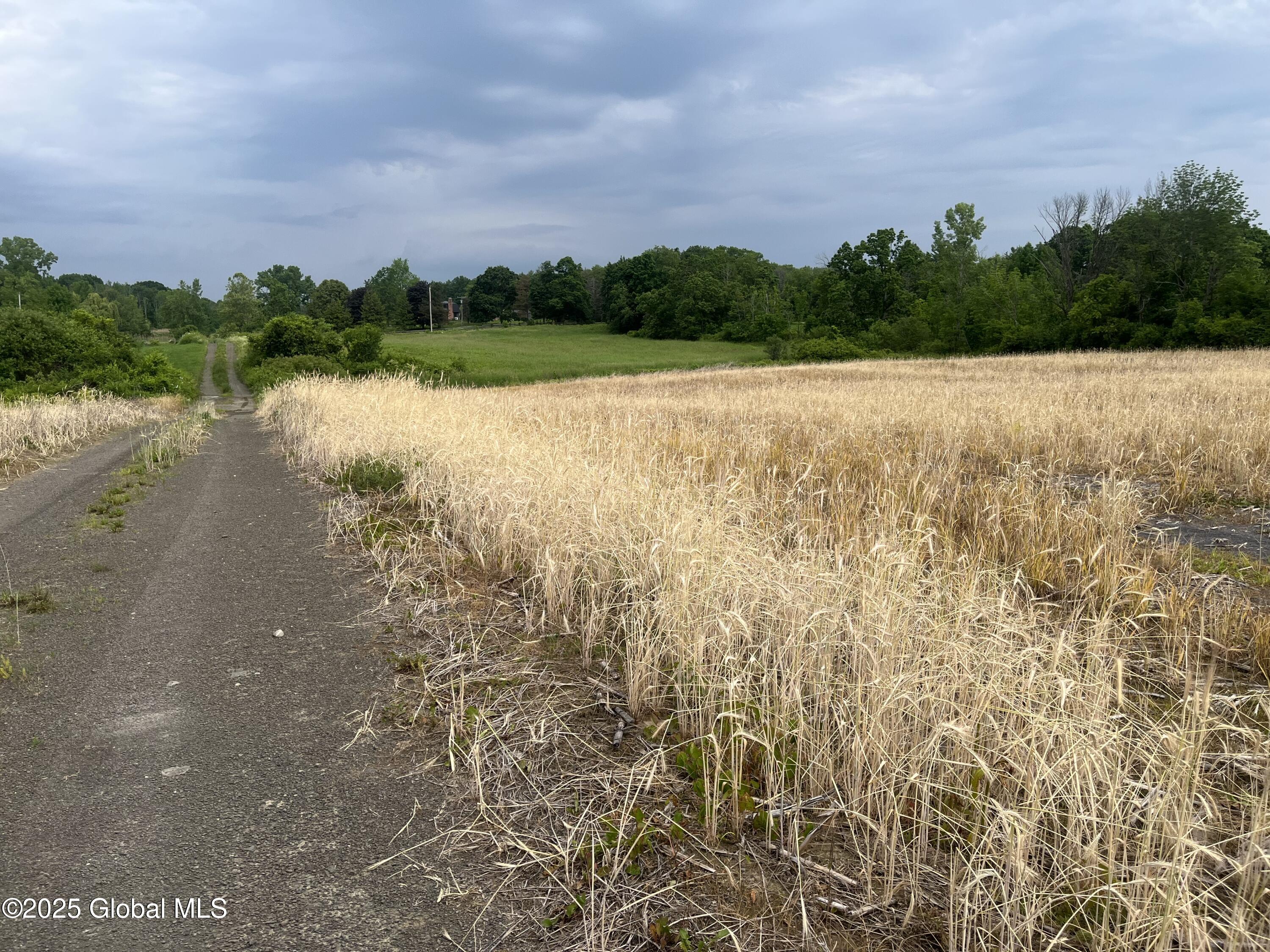 000 School House Rd Road, Stuyvesant, New York image 4