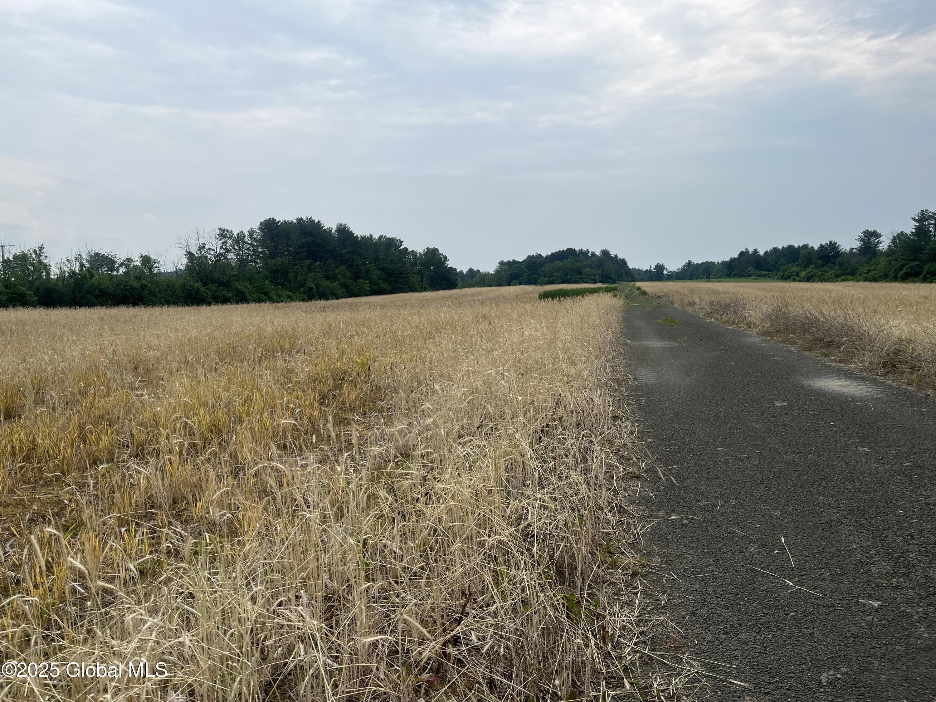 000 School House Rd Road, Stuyvesant, New York image 5