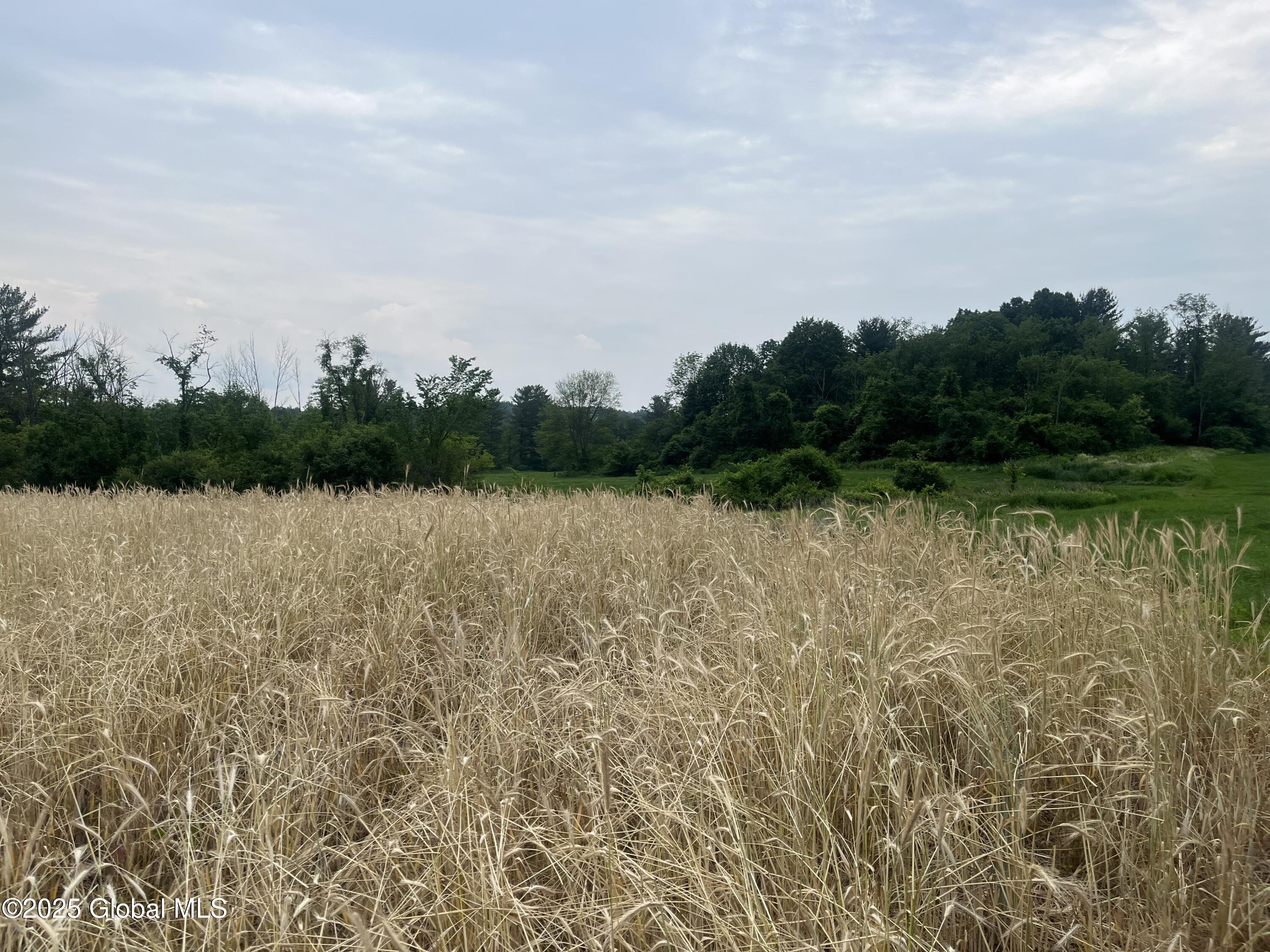 000 School House Rd Road, Stuyvesant, New York image 7