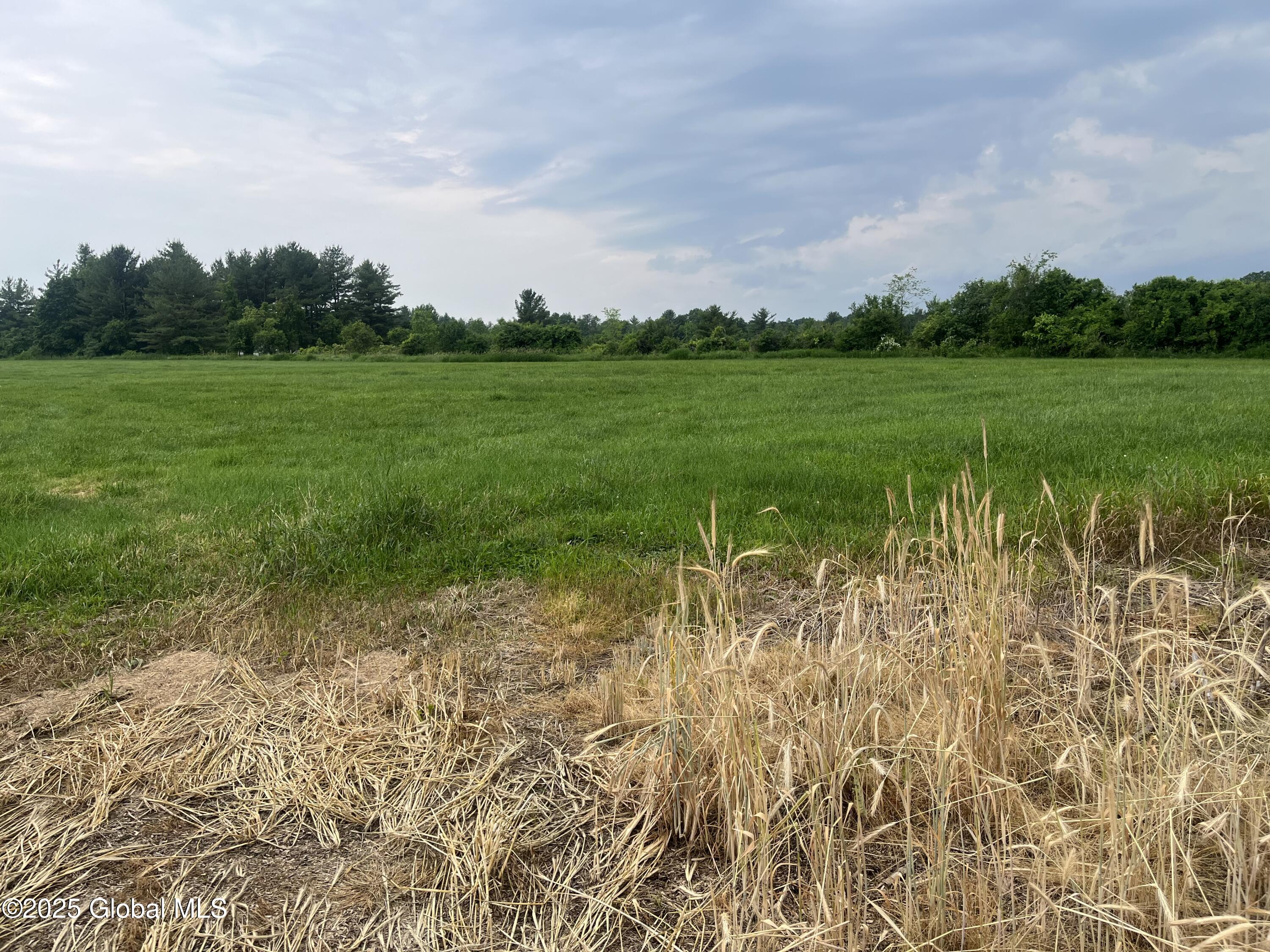000 School House Rd Road, Stuyvesant, New York image 6