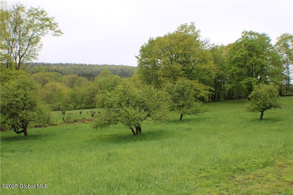 2072 Frank Slawson Rd Rd, Oneonta, New York image 5