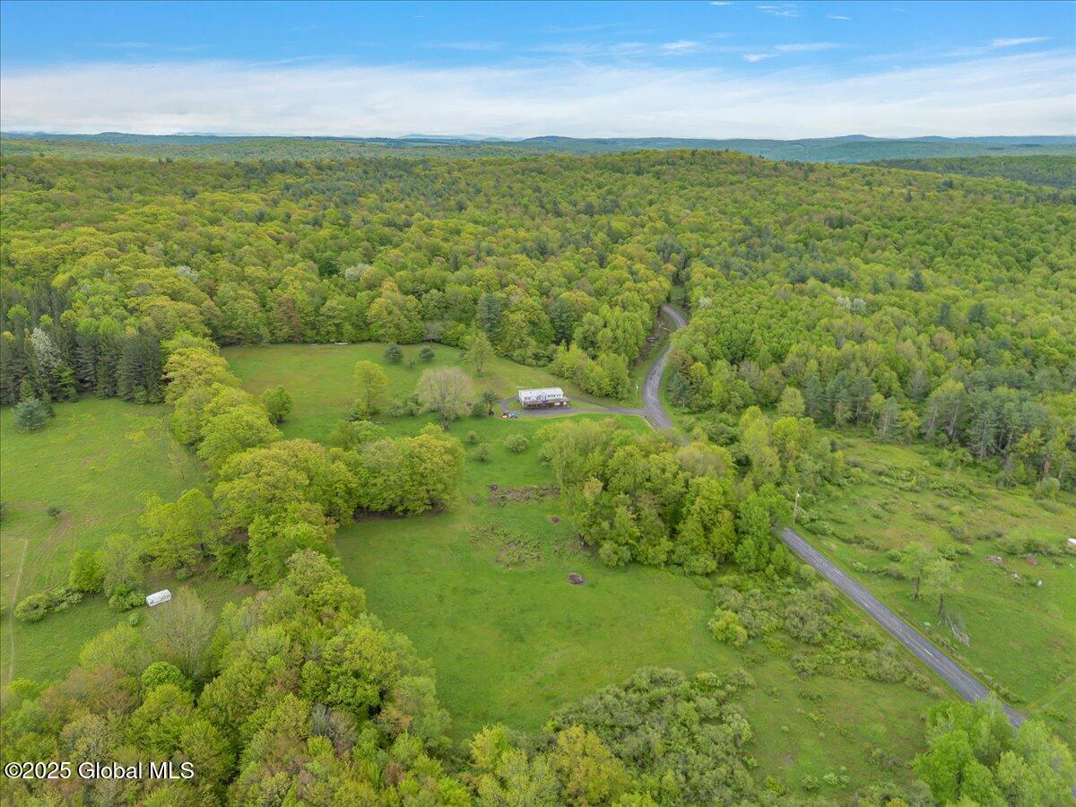 2072 Frank Slawson Rd Rd, Oneonta, New York image 2