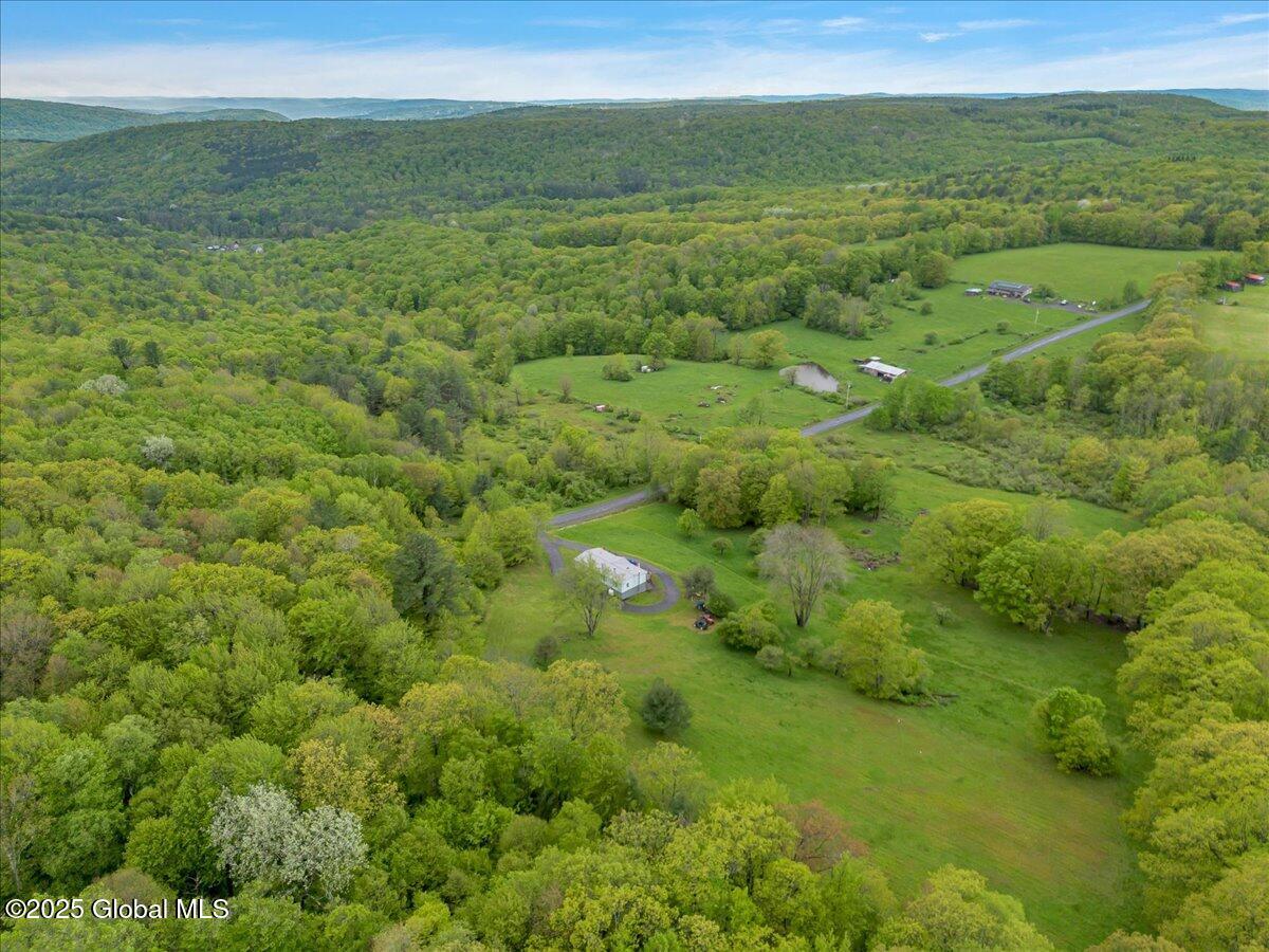 2072 Frank Slawson Rd Rd, Oneonta, New York image 8