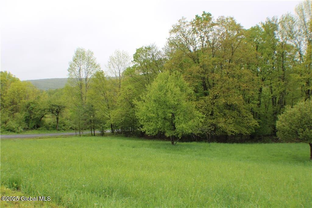 2072 Frank Slawson Rd Rd, Oneonta, New York image 6