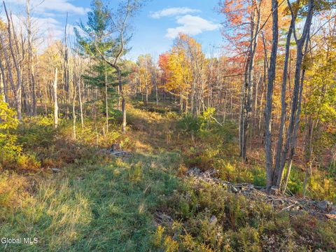 Photo of 138 Old Road, Grafton, NY 12052 (MLS # 202528422) Photo of 138 Old Road, Grafton, NY 12052 (MLS # 202528422)