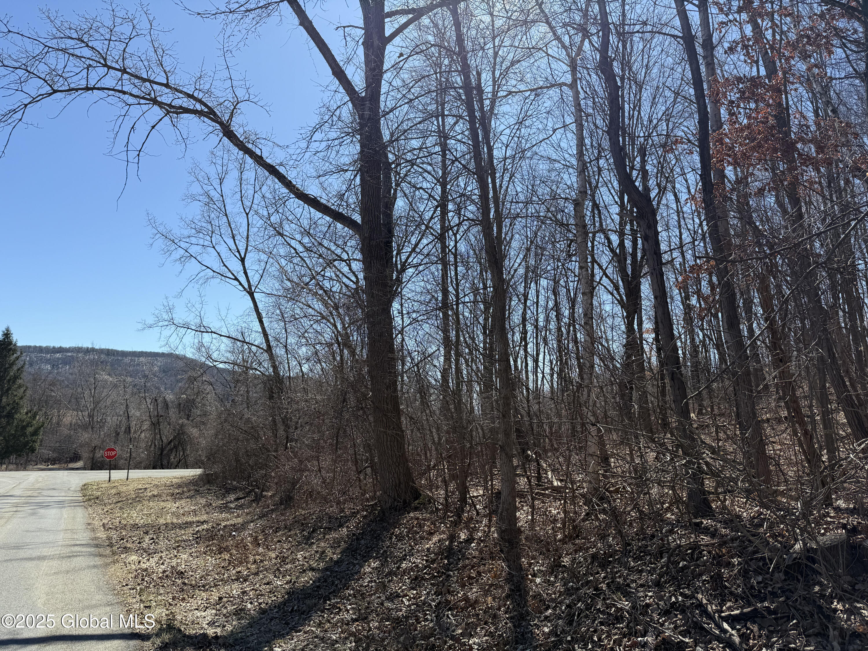 Beverly Road, Schaghticoke, New York image 1