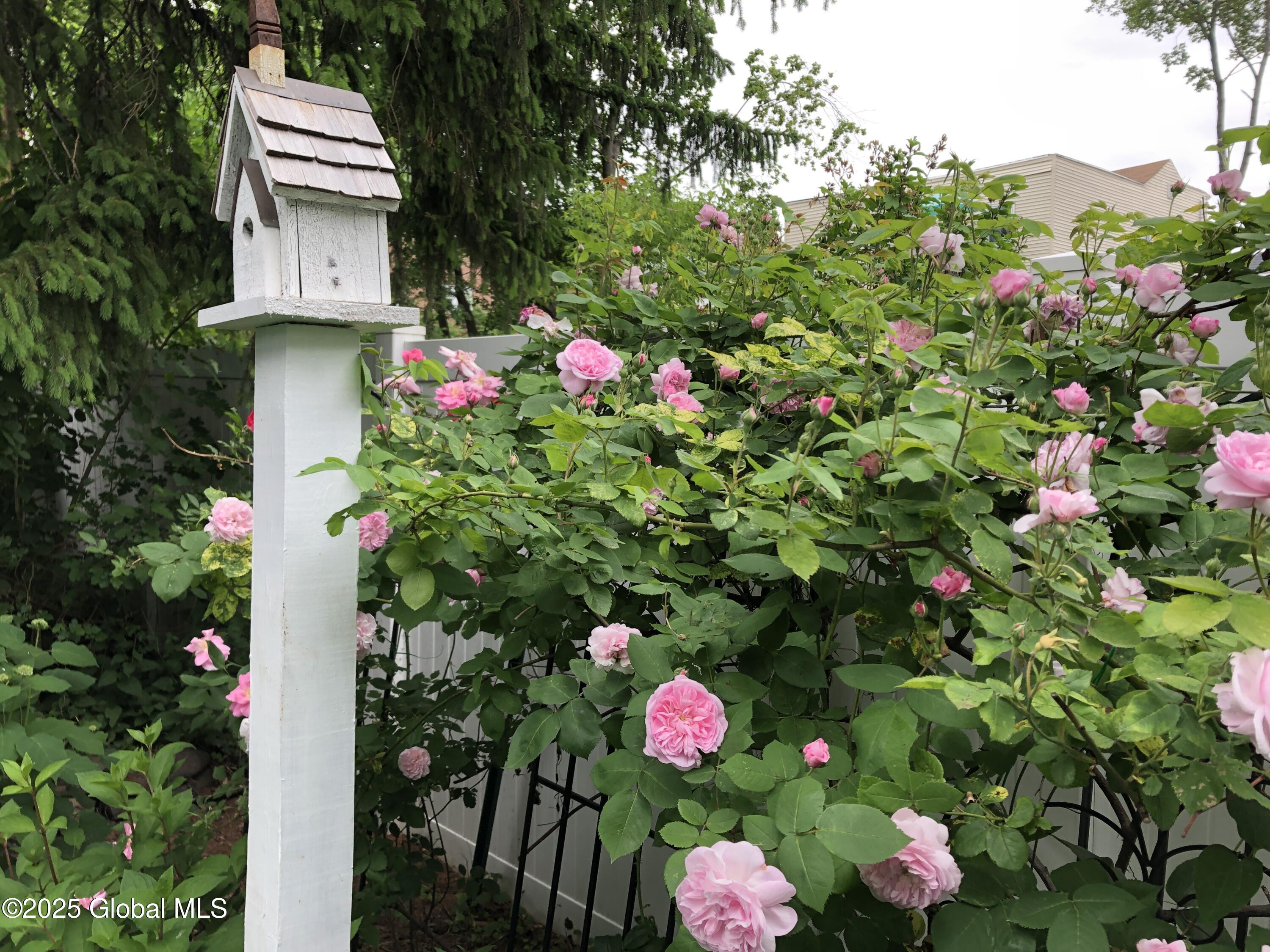 109 S Lake Avenue, Albany, New York image 39