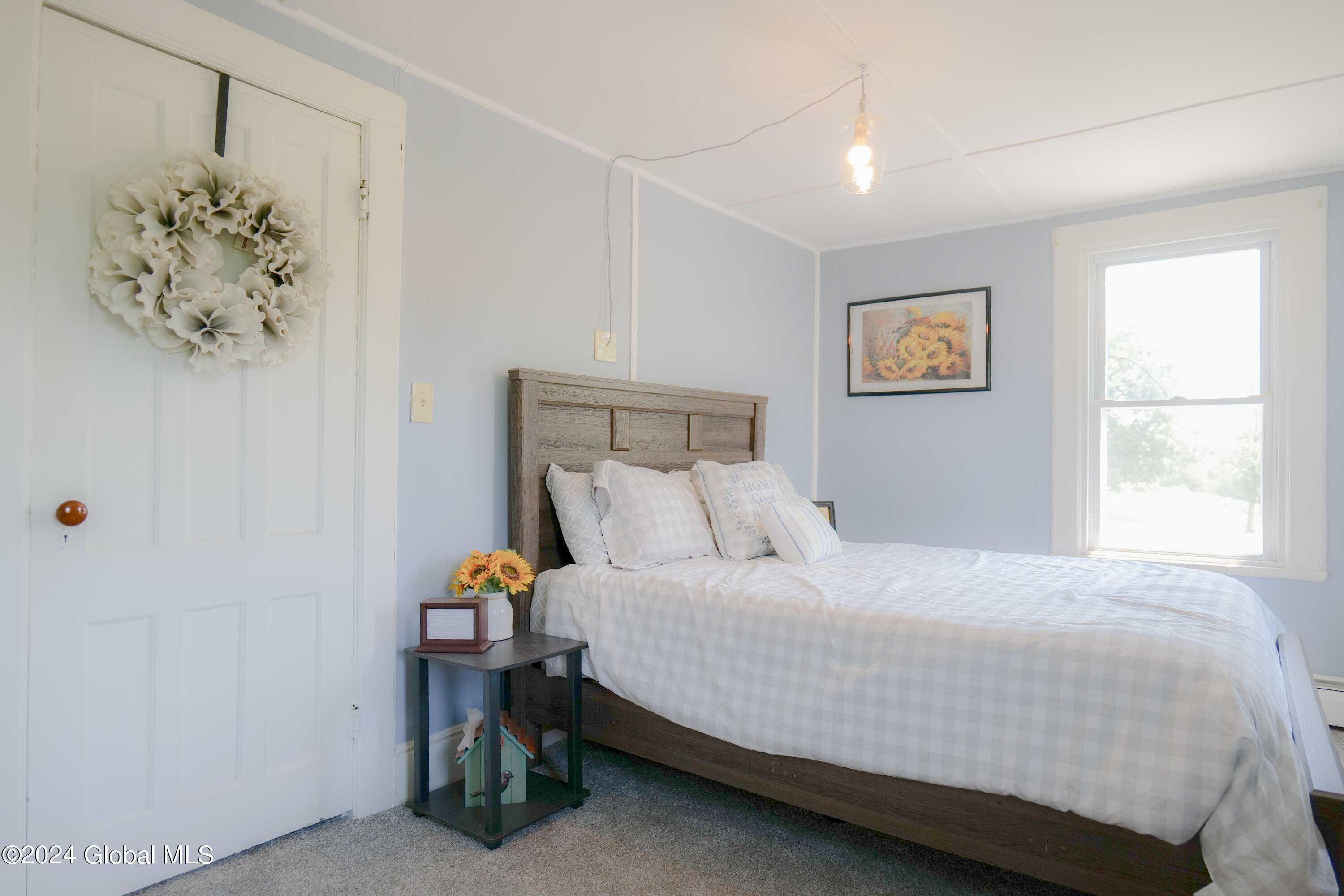 102 Kruger Road, Selkirk, New York image 22