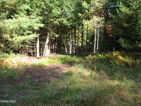 Vacant Land For Sale - 14 Granite Ridge Road<br/> Chestertown, NY 12817