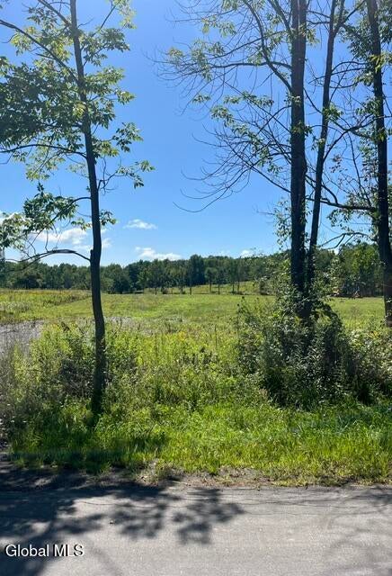 Vacant Land For Sale - 190 Curry Hill Road<br/> Schoharie County, Carlisle, NY 12160