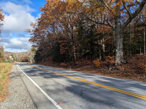Vacant Land For Sale - 443 Lake Desolation Road<br/> Greenfield Center, NY 12850
