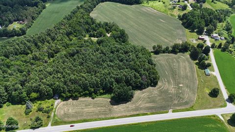 Vacant Land For Sale - 3464 State Route 22<br/> Washington County, Salem, NY 12865
