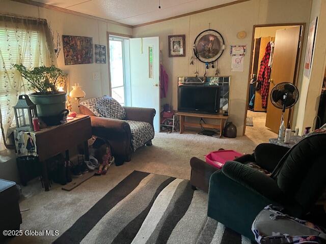 77 Stark Road, Corinth, New York image 21