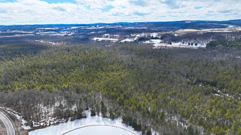 Photo of L2.5 Swamp, Morrisville, NY 13408 (MLS # 202614730)