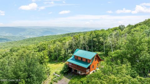 Homes For Sale - 892 Durham Road<br/> Gilboa, NY 12076