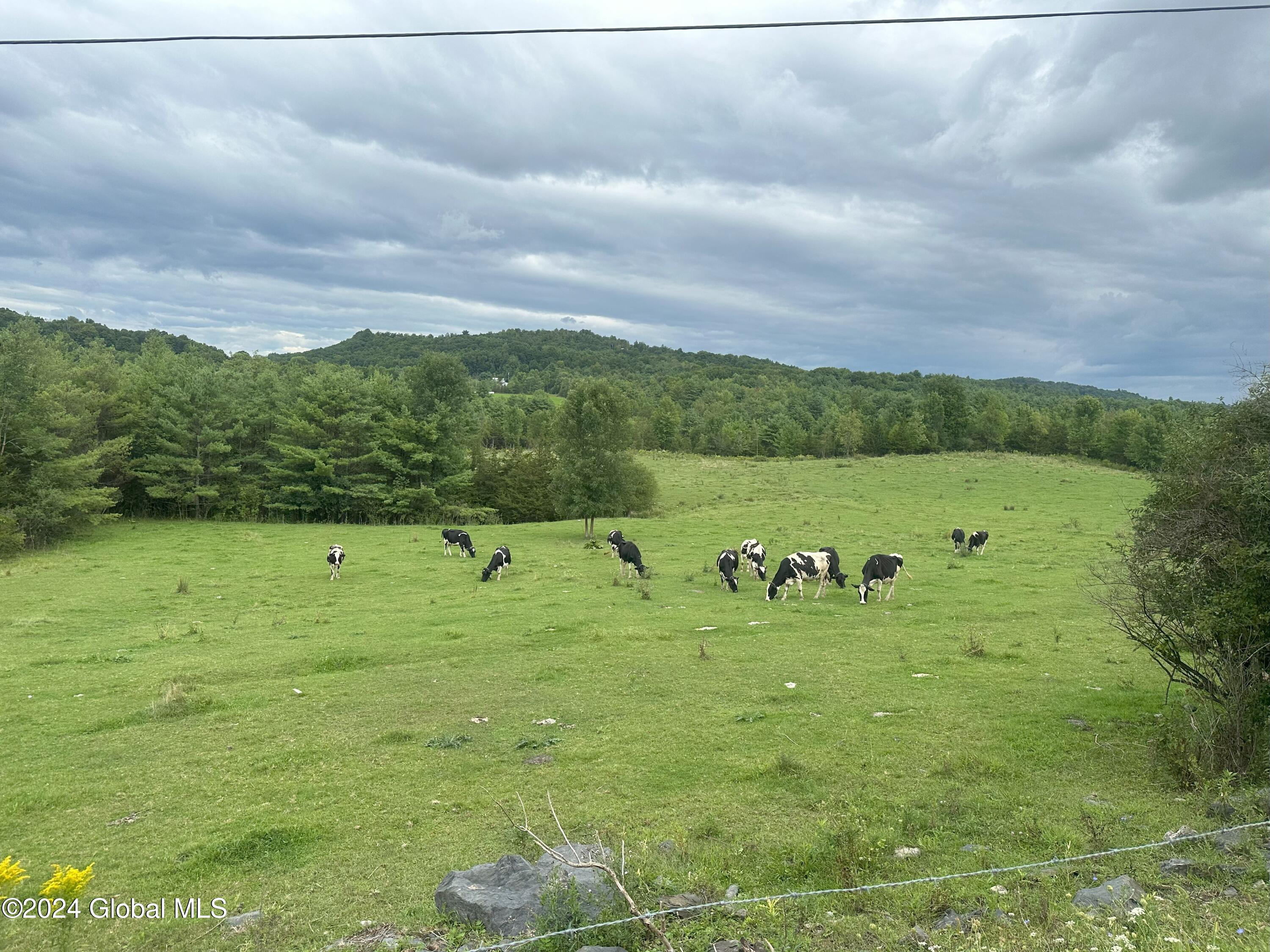 L9 County Route 9, Whitehall, New York image 4