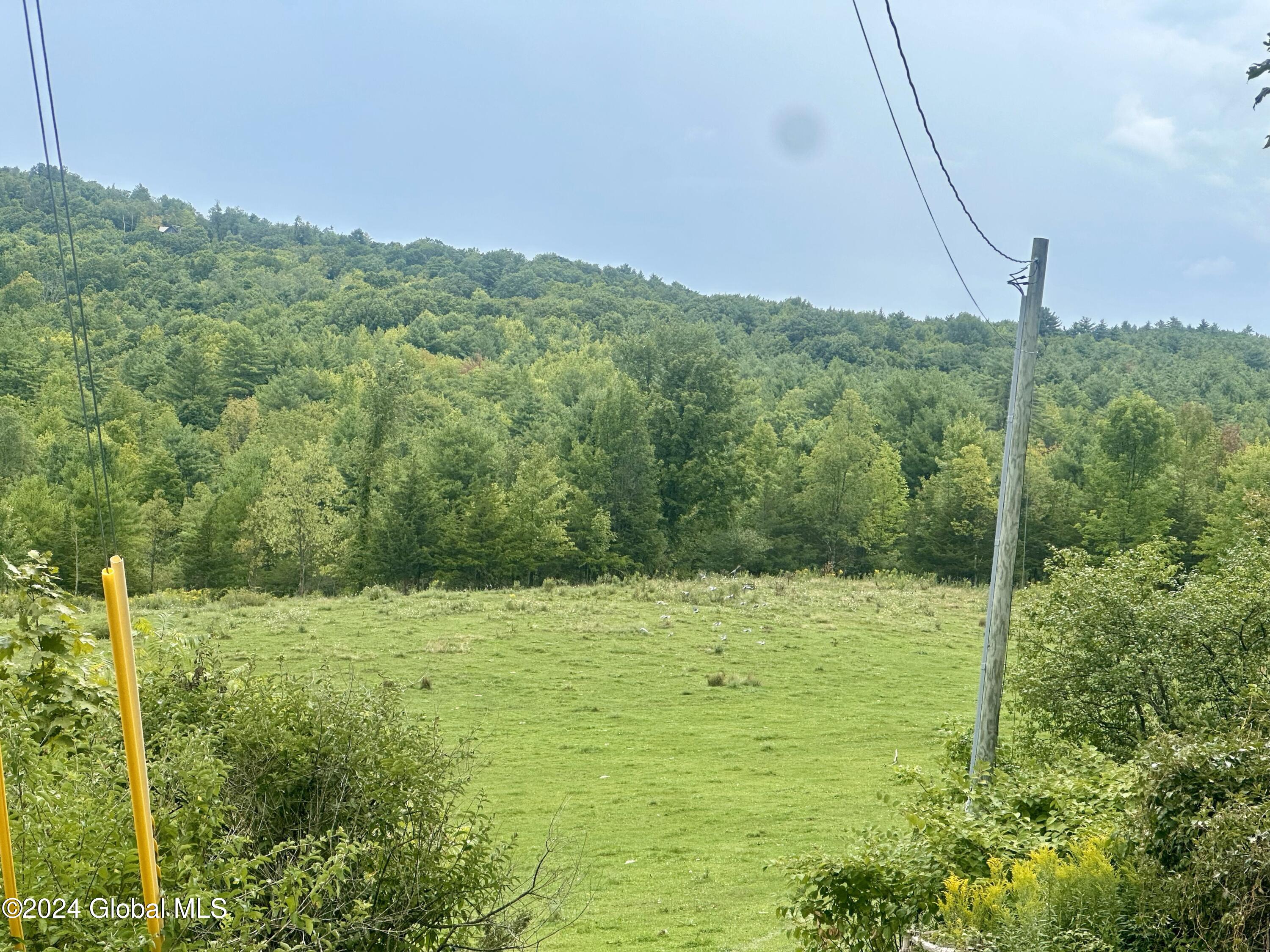 L9 County Route 9, Whitehall, New York image 3