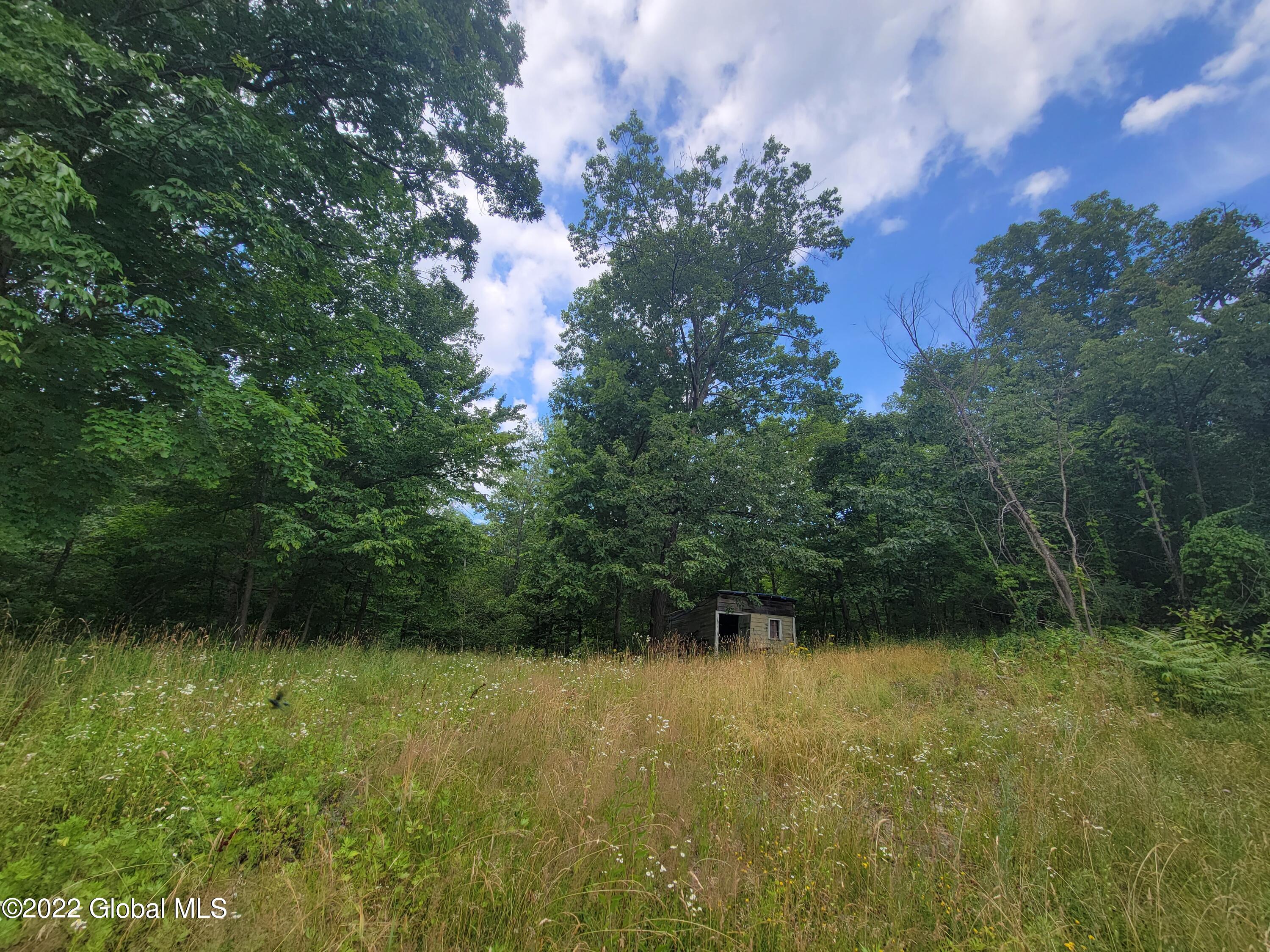 9071 Route 9w #LOT 1, Athens, New York image 15