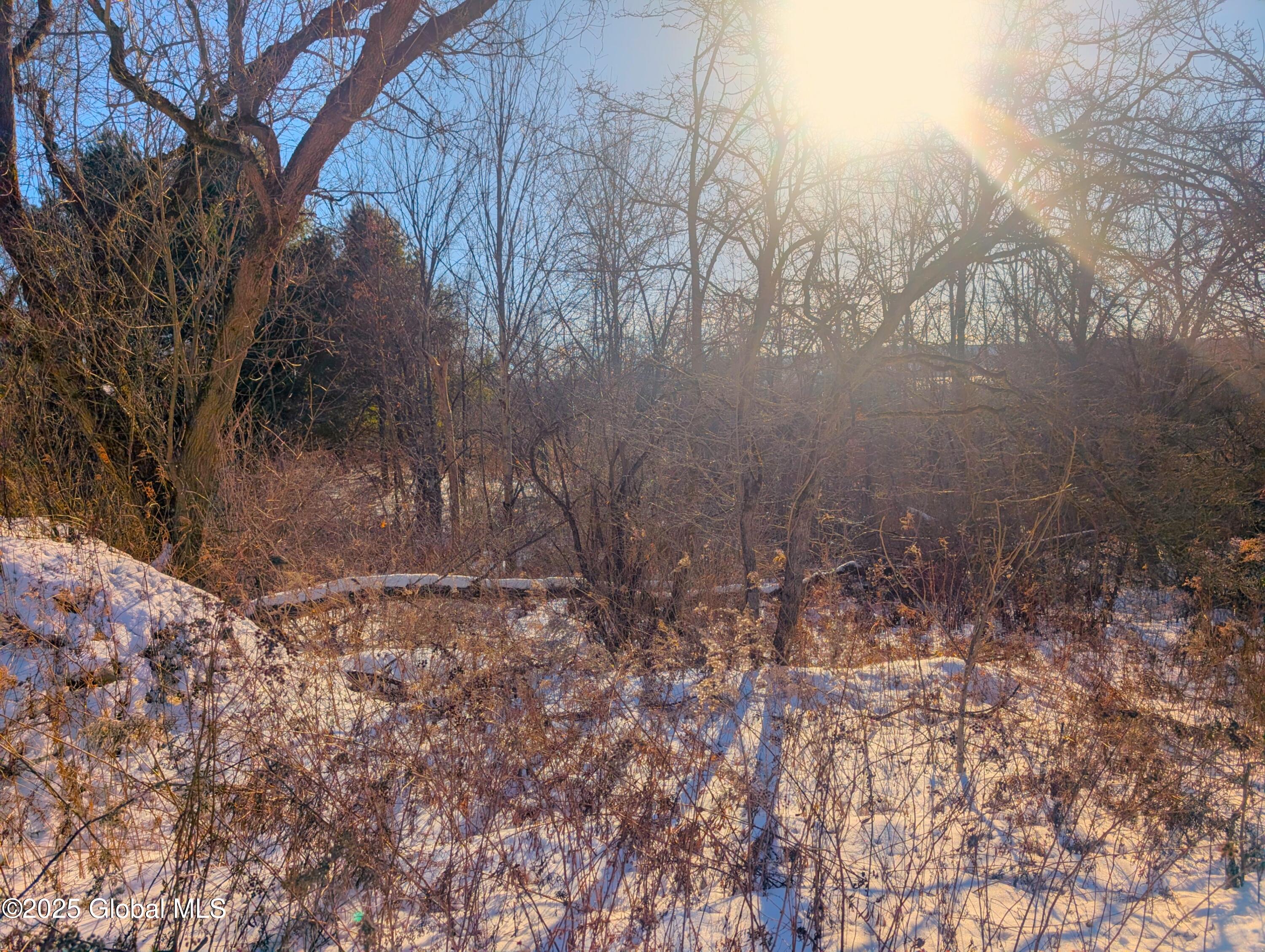 L15 Mountain View Way, Hoosick Falls, New York image 3