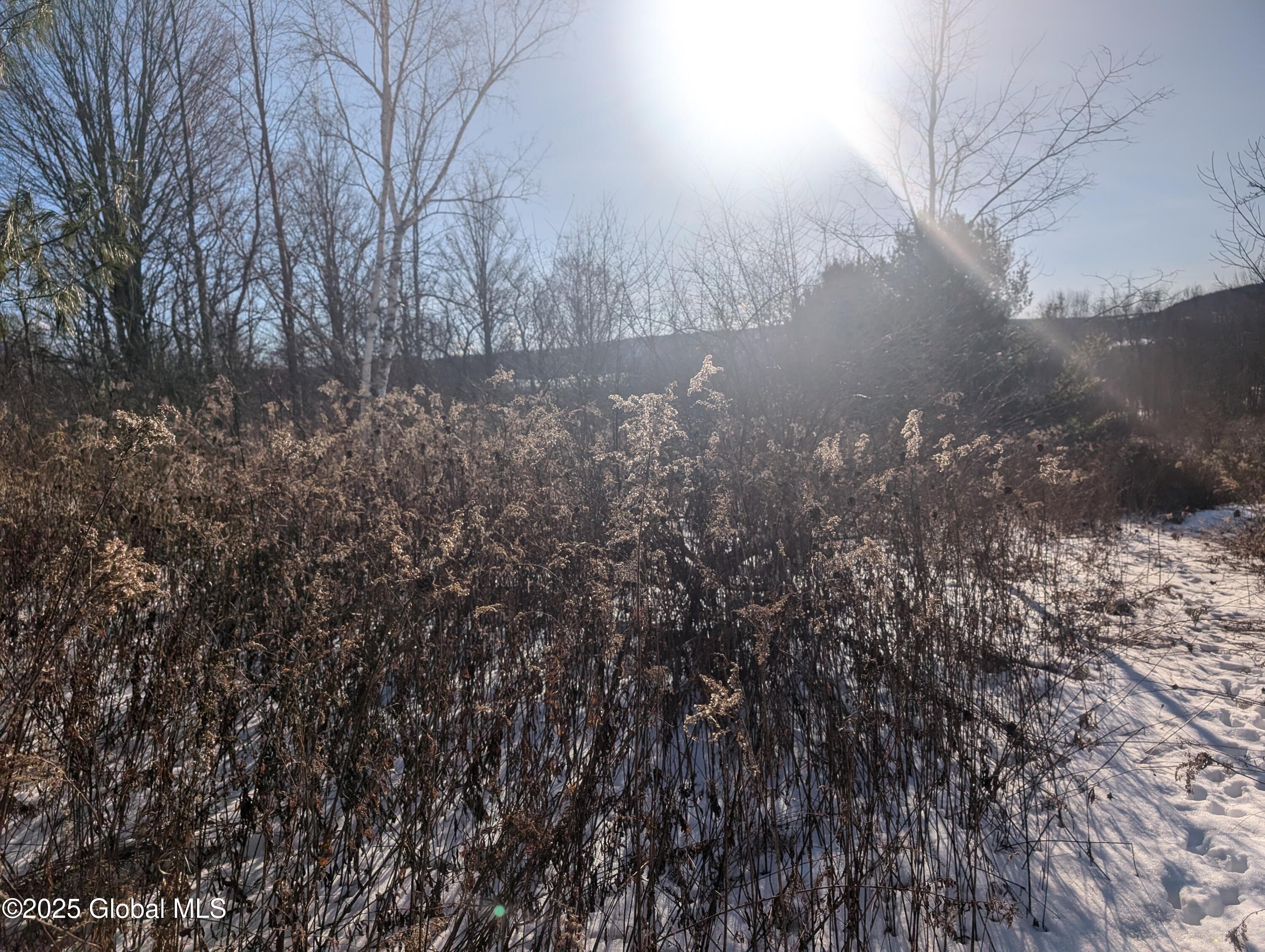 L15 Mountain View Way, Hoosick Falls, New York image 2