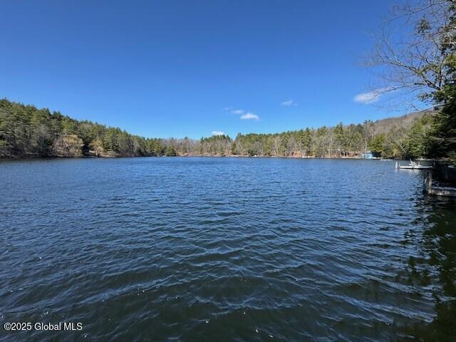 74 E Green Pond Way, Granville, New York image 1