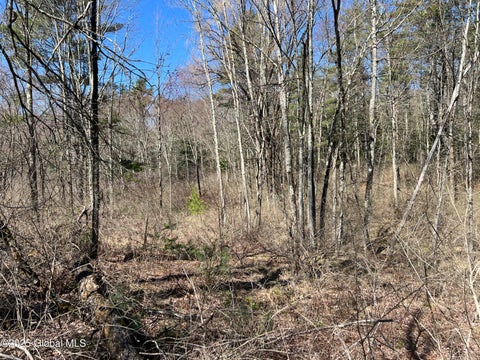 Photo for L72 Route 50