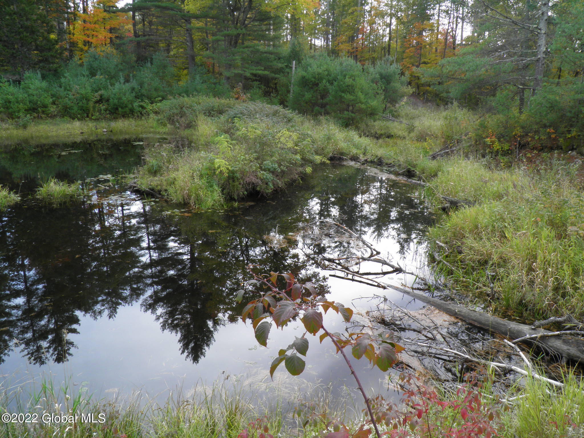 234 Old River Road, North Creek, New York image 16