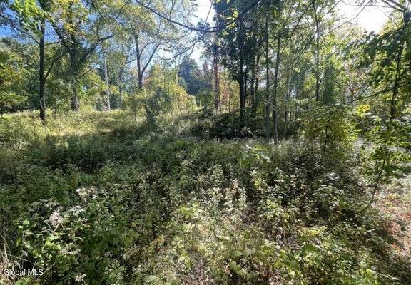 L10 FORBES AVENUE, TROY, NY 12180 - Image 6c965e66a9dd74d2f6ecb2199df33e32/3370816455