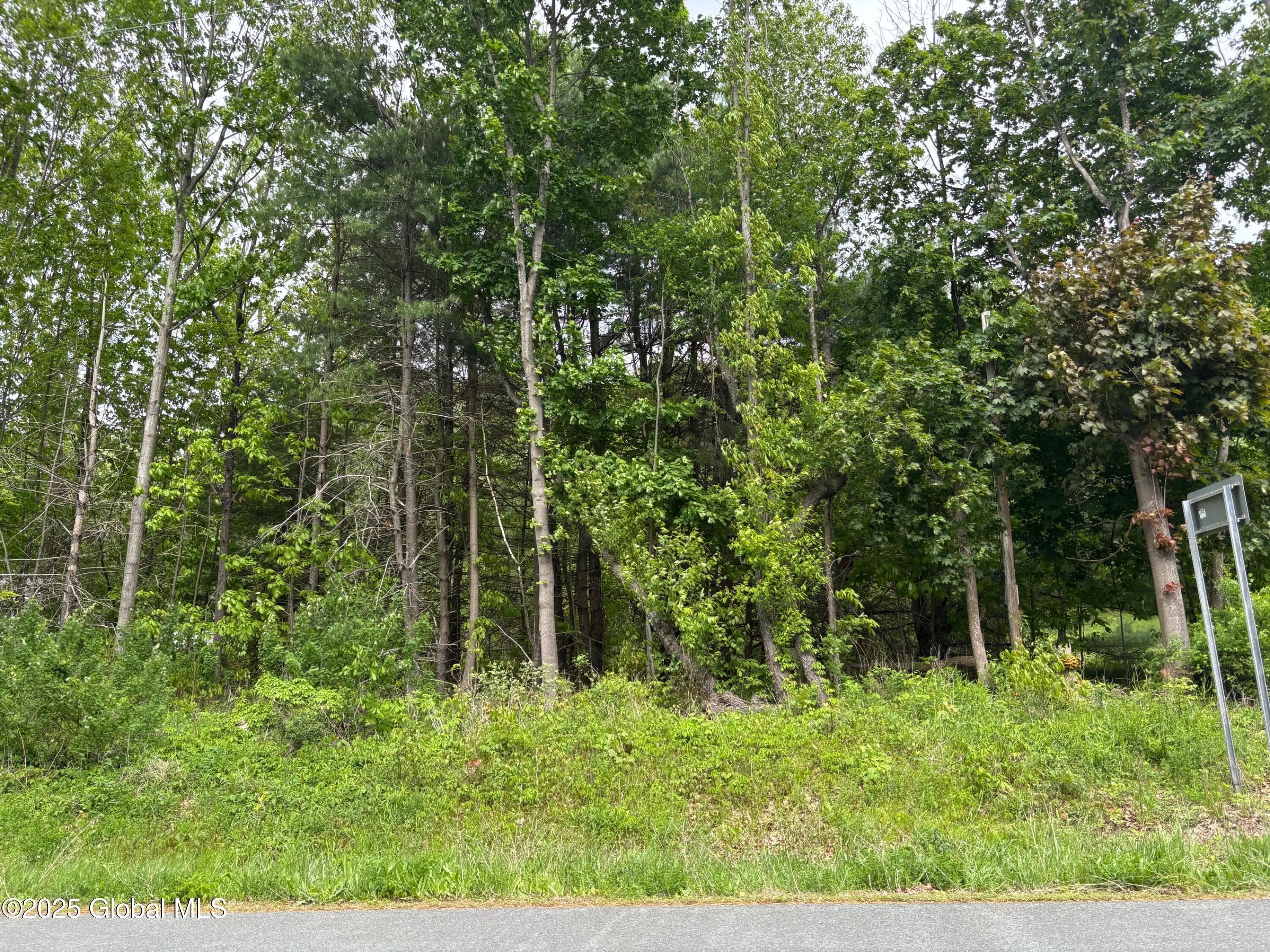 L 3-6 State Route 43 At Ny 66, Sand Lake, New York image 2