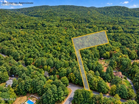 Vacant Land For Sale - 126 Miner Road<br/> Porter Corners, NY 12822