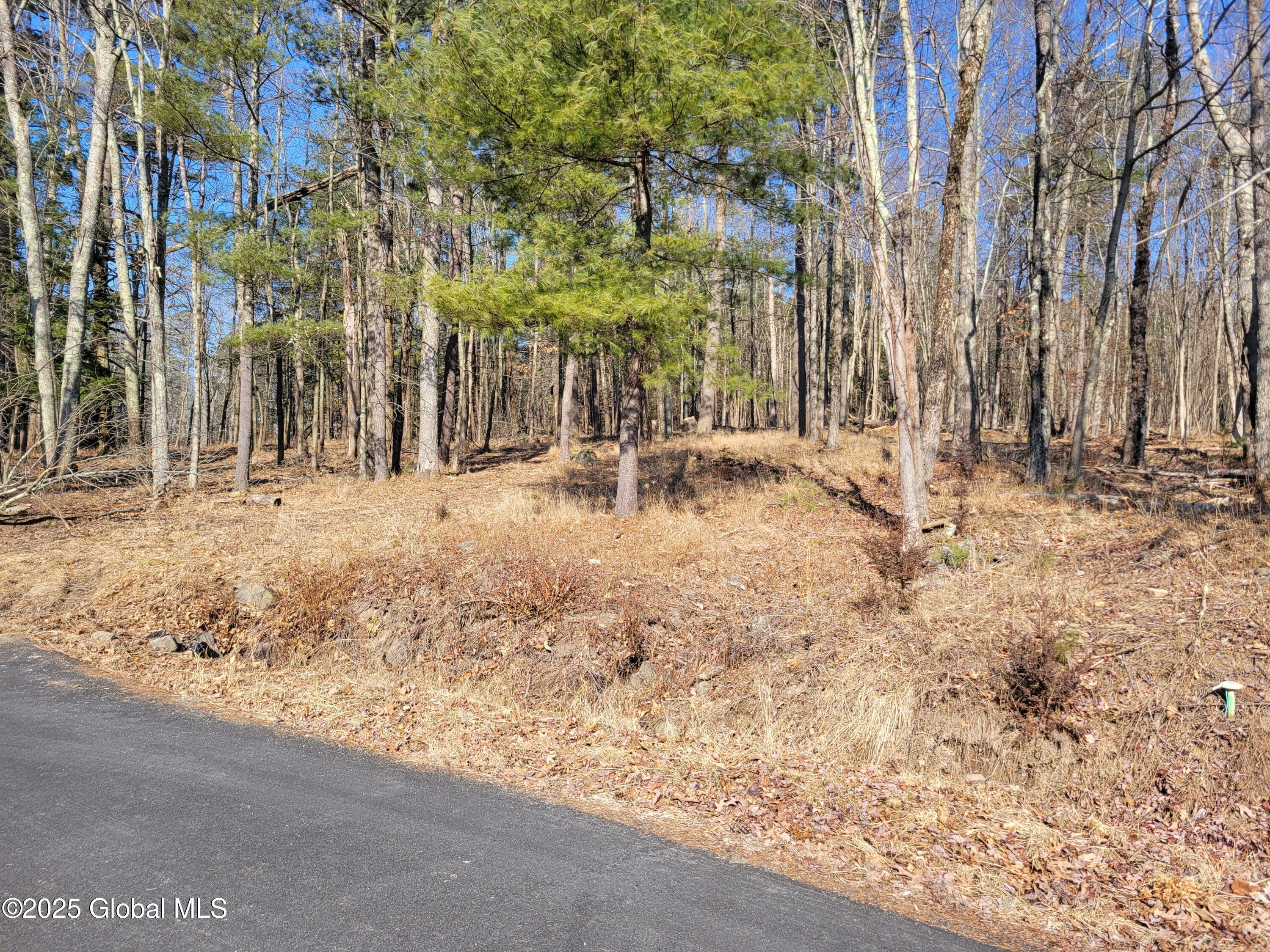 56 Blue Heron Drive Drive Lot 2