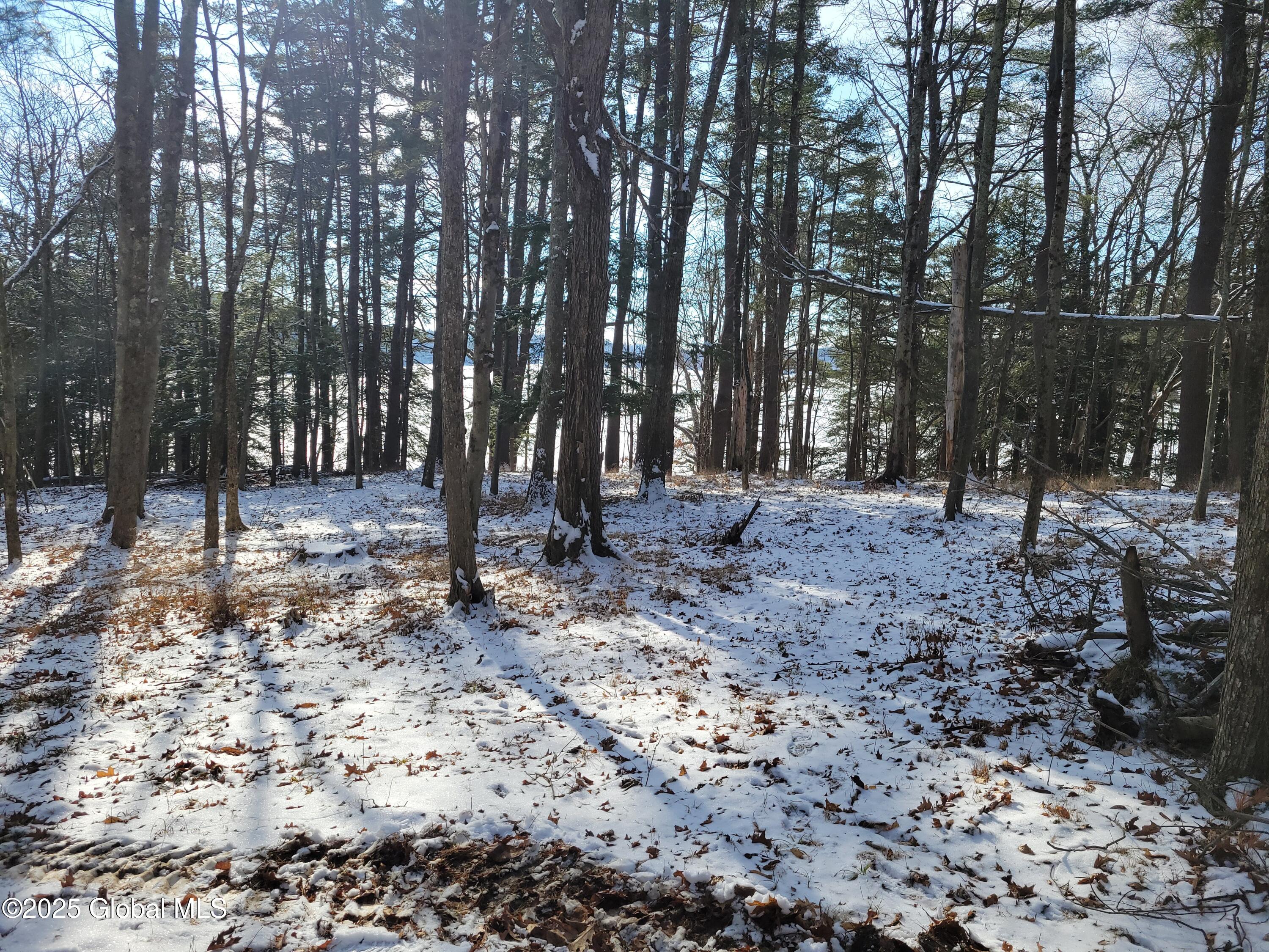 56 Blue Heron Drive Drive Lot 2