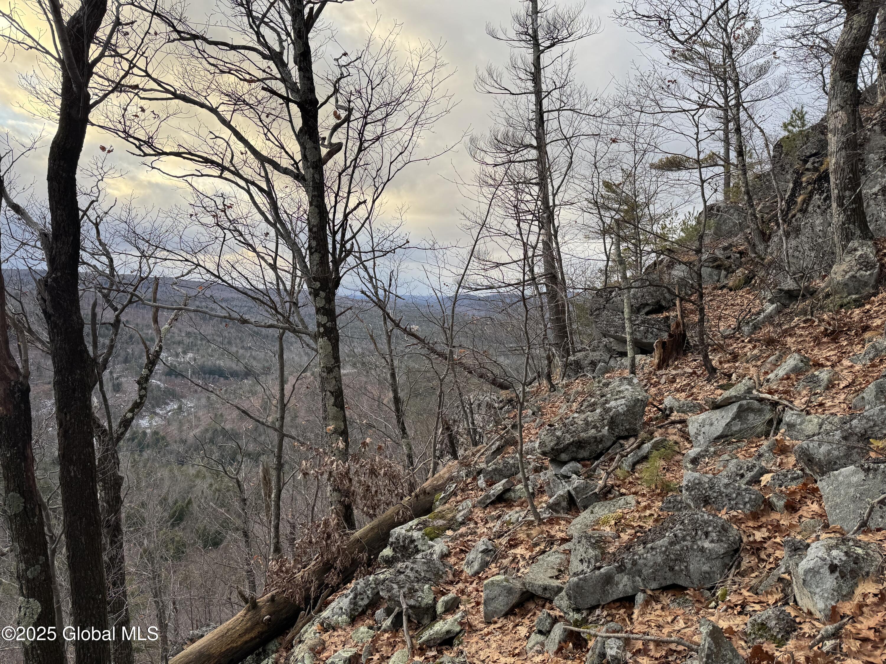 L6 Antone Mountain Road, Corinth, New York image 3