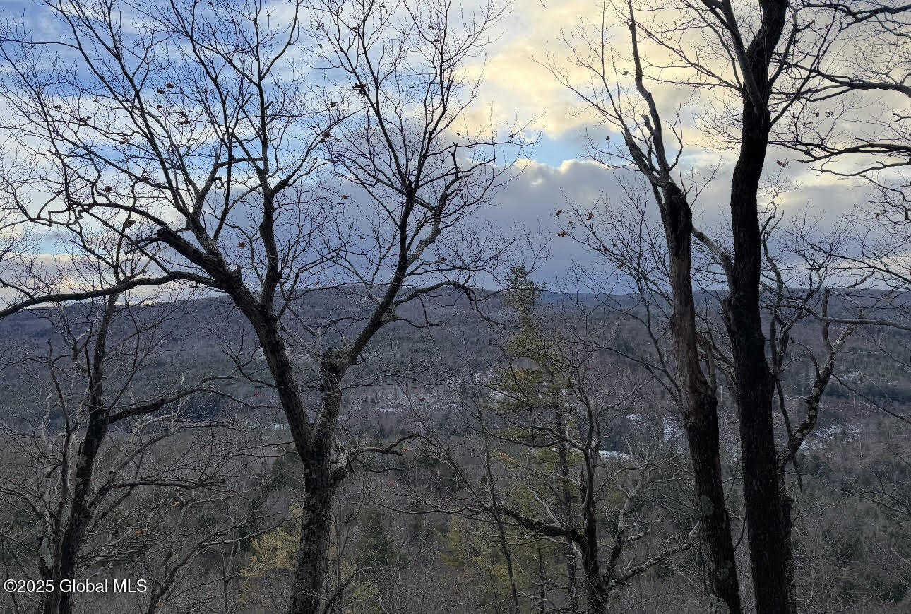 L6 Antone Mountain Road, Corinth, New York image 1
