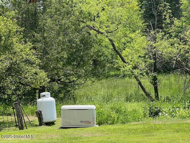 150 Morrison Road, Acra, New York image 5