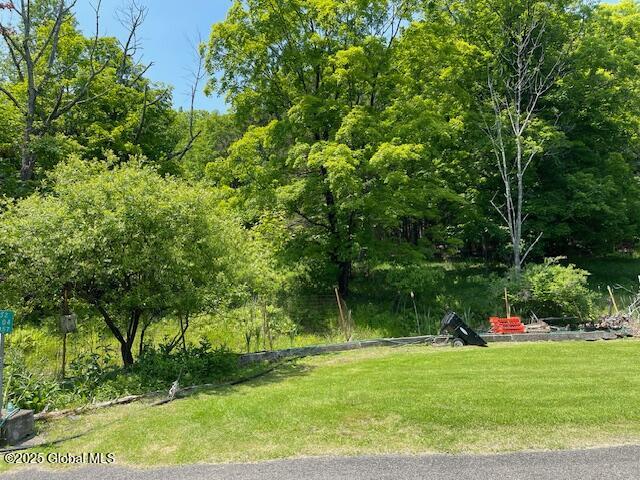 150 Morrison Road, Acra, New York image 2