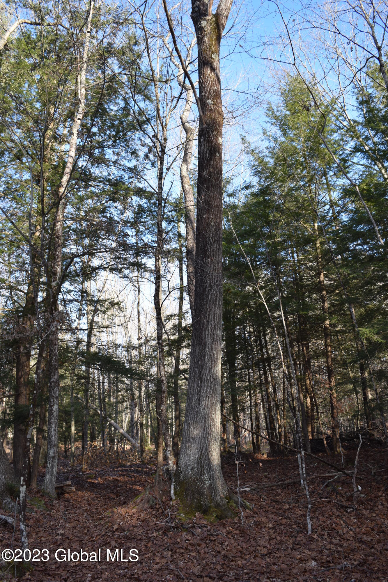 277 Greene Road, Greenfield Center, New York image 9