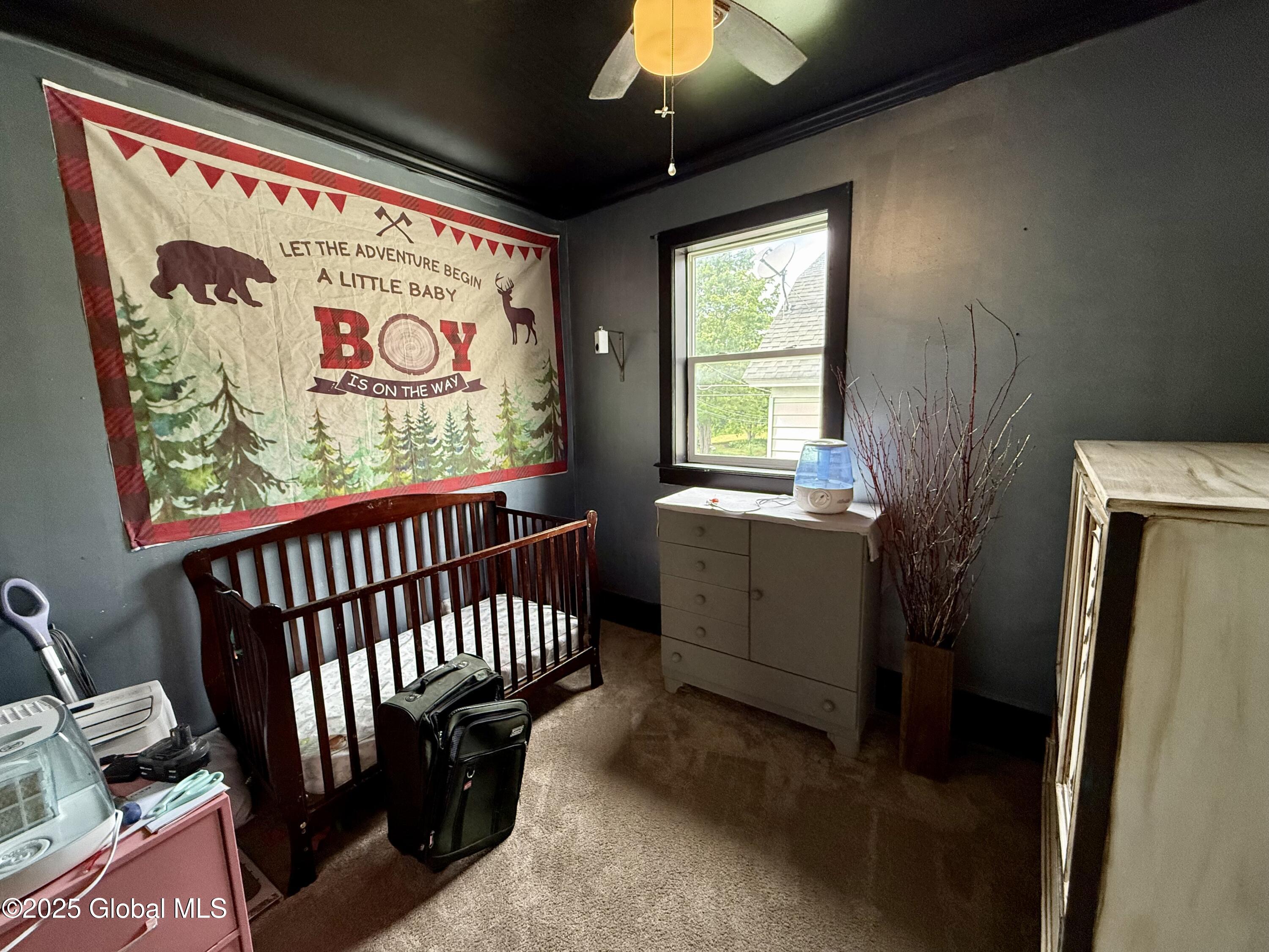 243 N Perry Street, Johnstown, New York image 26