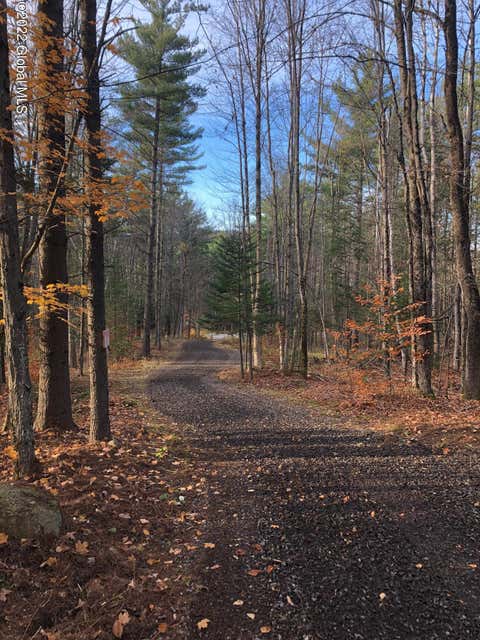 Vacant Land For Sale - 2442 State Rt 8<br/> Lake Pleasant, NY 12108