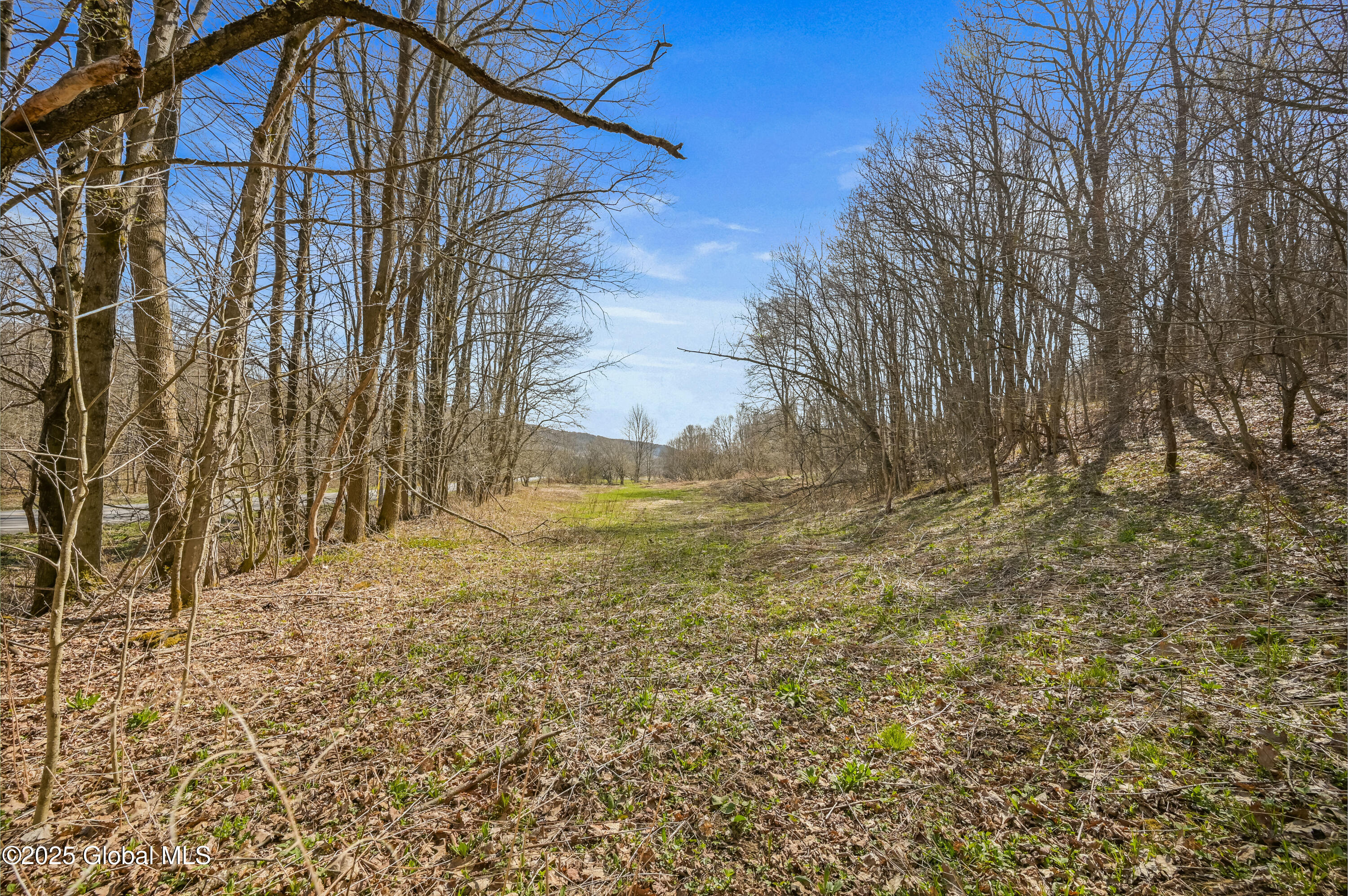 L9.112 Lutheranville Road, East Worcester, New York image 5
