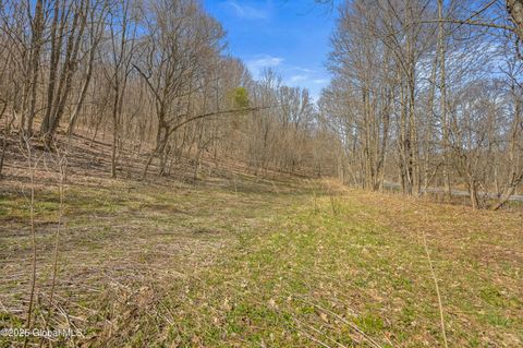 Vacant Land For Sale - L9.112 Lutheranville Road<br/> East Worcester, NY 12175